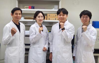 [보도자료] 보중익기탕, 면역세포 사이 상호작용 조절로 면역항암 효과 높일 수도