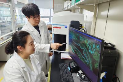 [보도자료] 한의학연, 전통 약용식물 '우슬' 안구건조증 개선 효과 규명