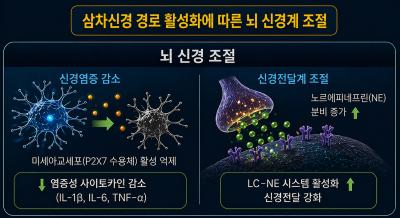 [보도자료] (한의학연) 침치료, PTSD 인한 우울 및 불안 개선 효과 확인
