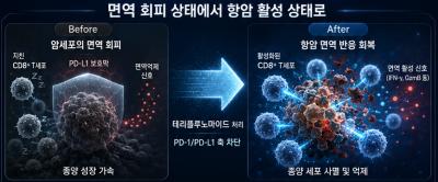 [보도자료] (한의학연) 기존 약으로 암 면역 되살린다