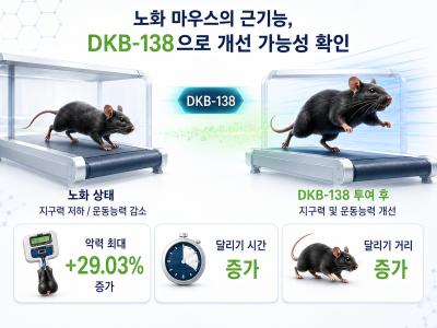 [보도자료] (한의학연) 형개추출분말 노화성 근기능 개선