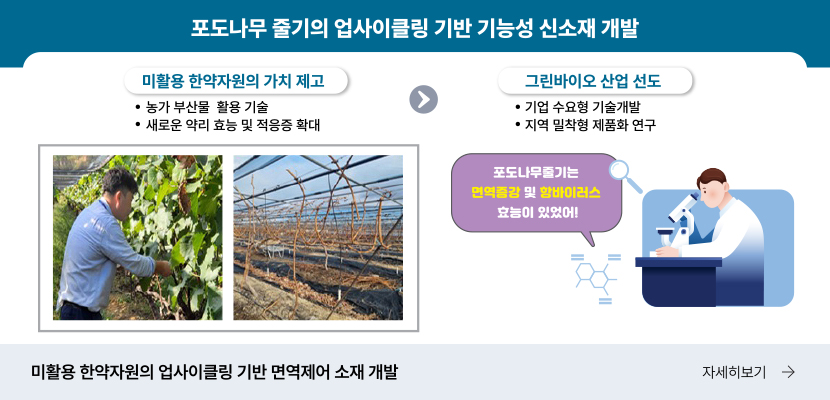 포도나무 줄기의 업사이틀링 기반 기능성 신소재 개발